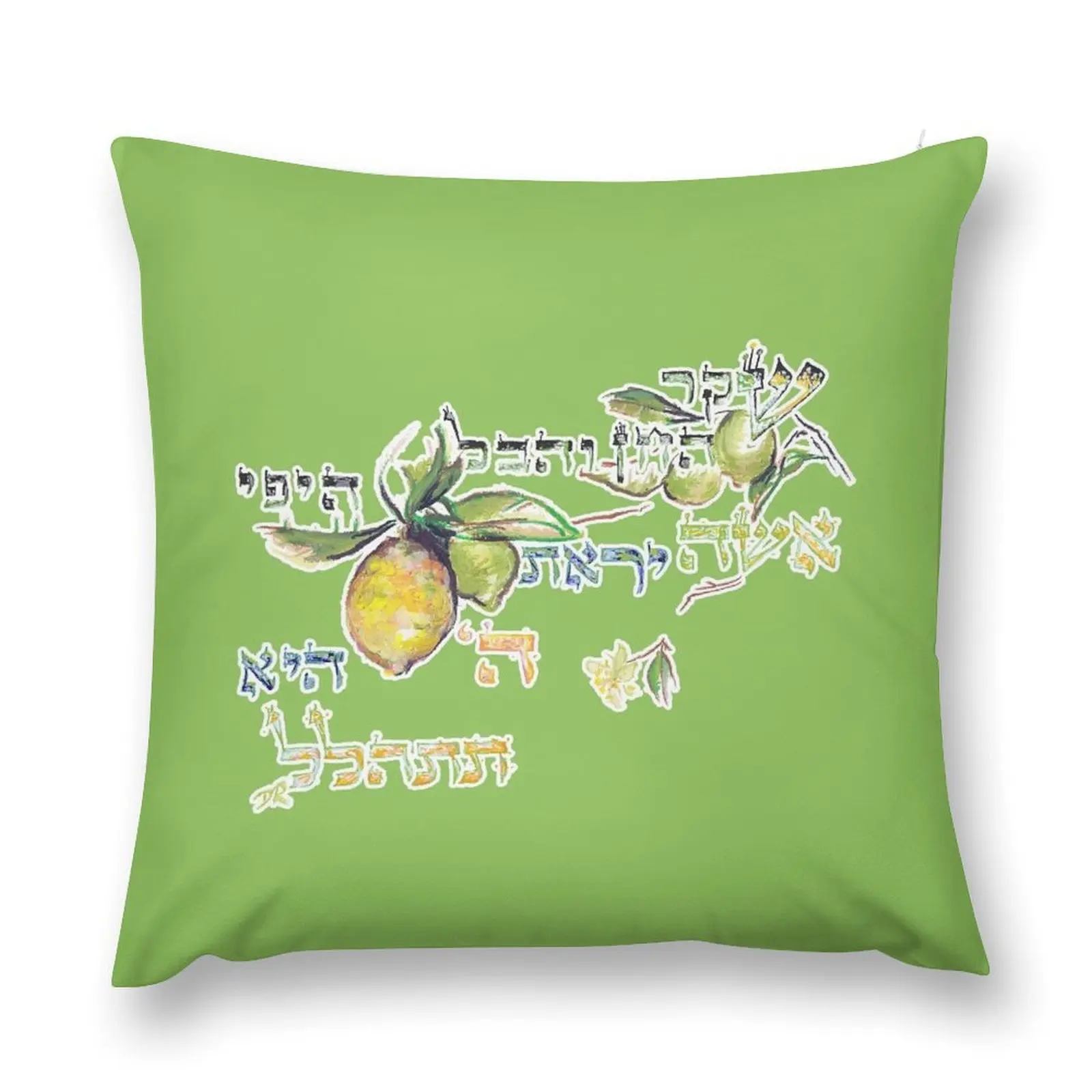 Благородная женщина-Eshet Chayil-мишли 31:30 диванная подушка пользовательские подушки