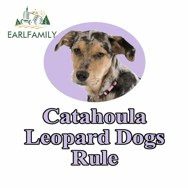 Фото EARLFAMILY 13см X 12.5см наклейка для собак породы Катахула Леопард, водонепроницаемая, для багажника, лобового стекла, бампера, автомобильные аксессуары №1