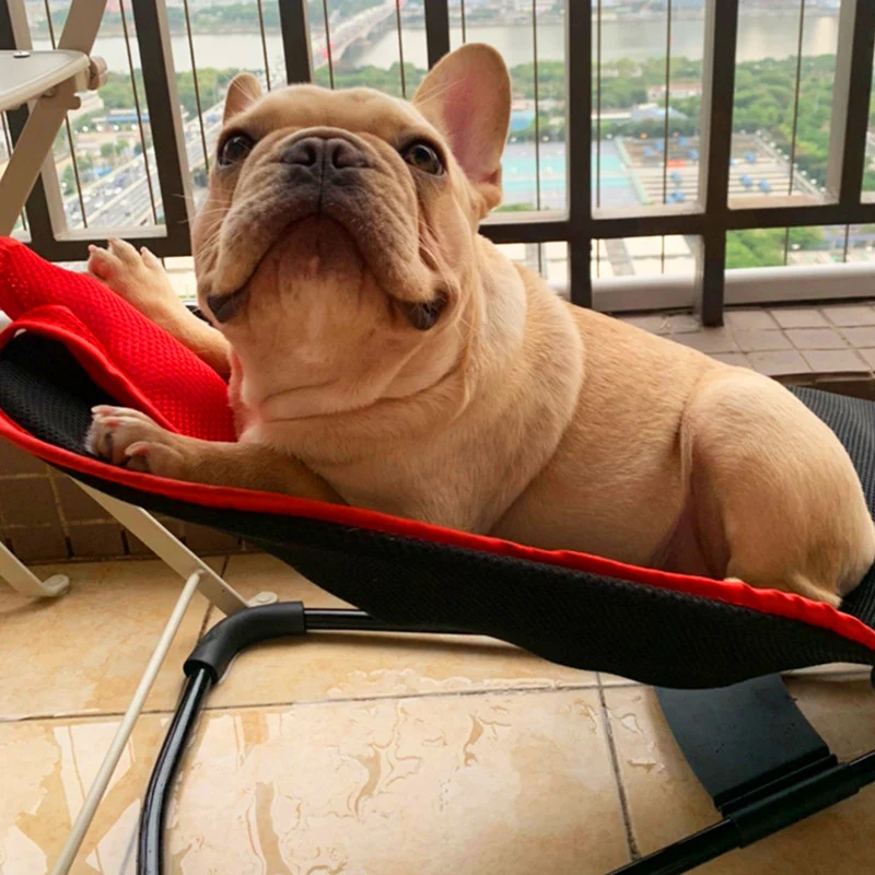 

Dog Rocking Chair Pet Rocking Bed Special Bucket Spring Chair Small Teddy Elastic Large Long Swing Pet Hammock Dog Cat Hammock