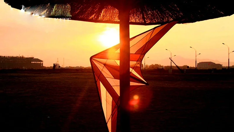 Бесплатная доставка 250 см профессиональный трюковый воздушный змей Сокол