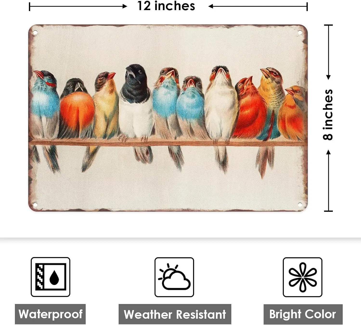Винтажные металлические жестяные знаки в стиле ретро с птицами милая радужная
