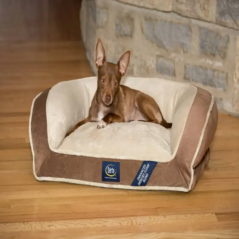 

Memory Foam Mini Couch Dog Bed in Brown, Small Dog pad Cama perro impermeable y lavable Extra large dog bed Puppy Strawberry pet