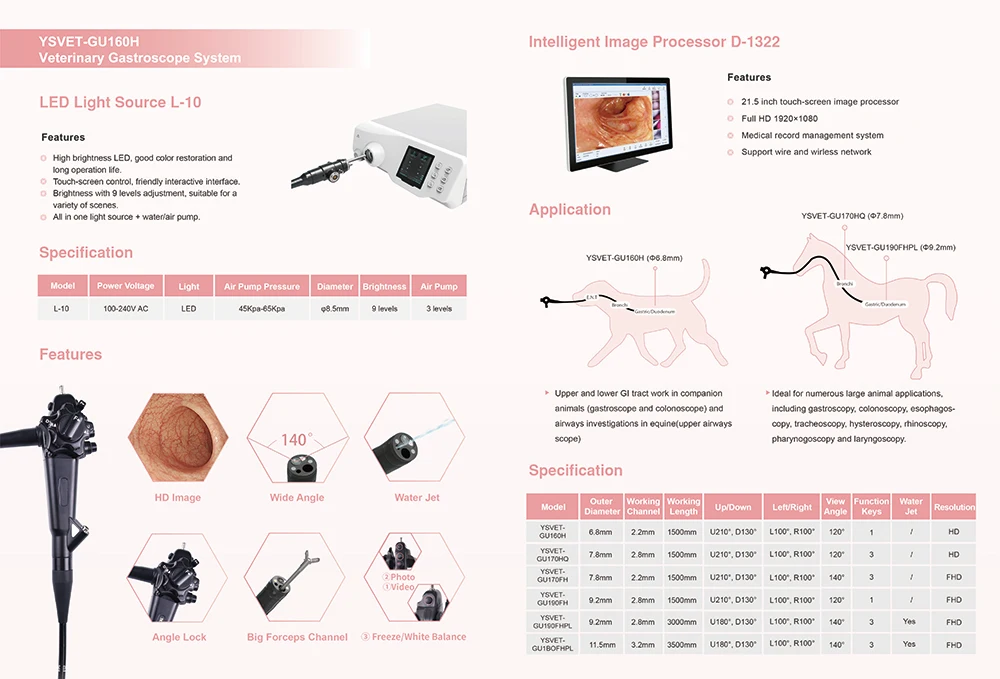 Флюоресцентный эндоскоп эквин кошка собака большие животные ветеринарный