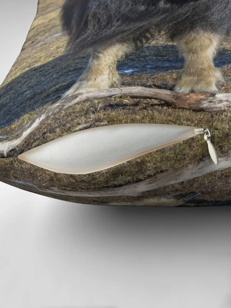 Arctic Muskox наволочки для диванных подушек Набор наволочек