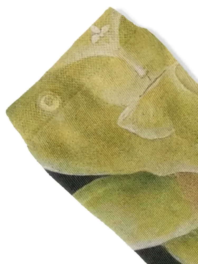 Leonora Carrington Socks Обувь Crossfit Носки Мужские Женские