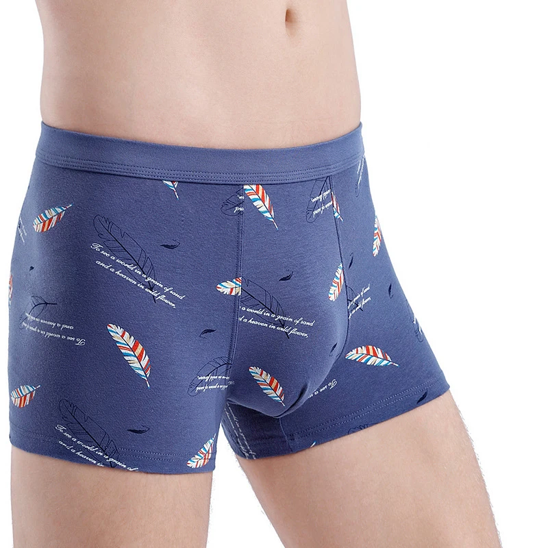 FK 4Pcs/Lot Mens Cotton Underwear Boxers Sexy Printed Panties Men's Underpants Boxer Comfortable Brand Boxershort 2023 New HOT