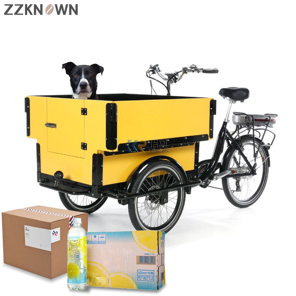 500 W Cargo Tricycle Adult Electric Bike with Two Seater Min