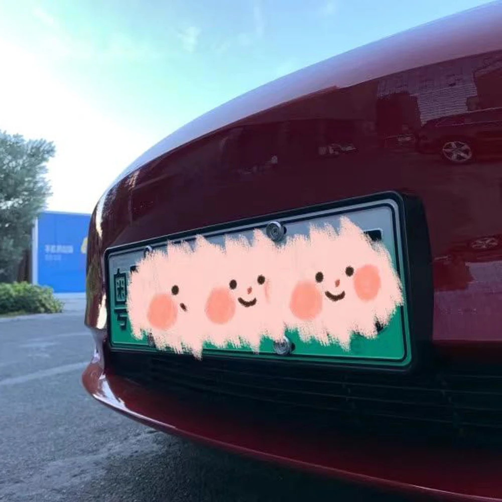 Держатель номера Tesla для автомобильного аксессуары |