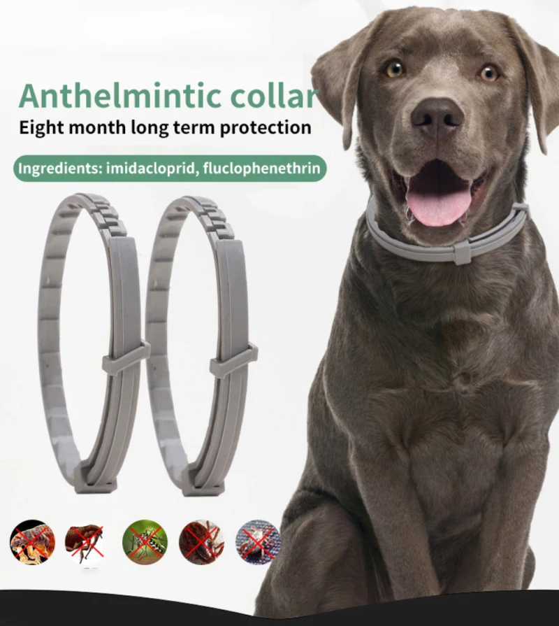 

Extendable Pet Flea Collar Antiparasitic Necklace Personalized Anti Flea And Tick Big Dog Puppy Cat Anti-Flea Collar Ticks Dogs