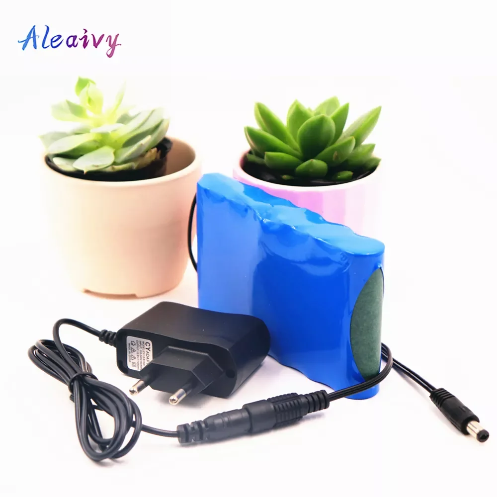 

2023New Portable Super 12v 15000mah 18650 Rechargeable Lithium Ion Battery Pack Capacity DC 12.6V 8000 Mah CCTV Cam Monitor+ Cha