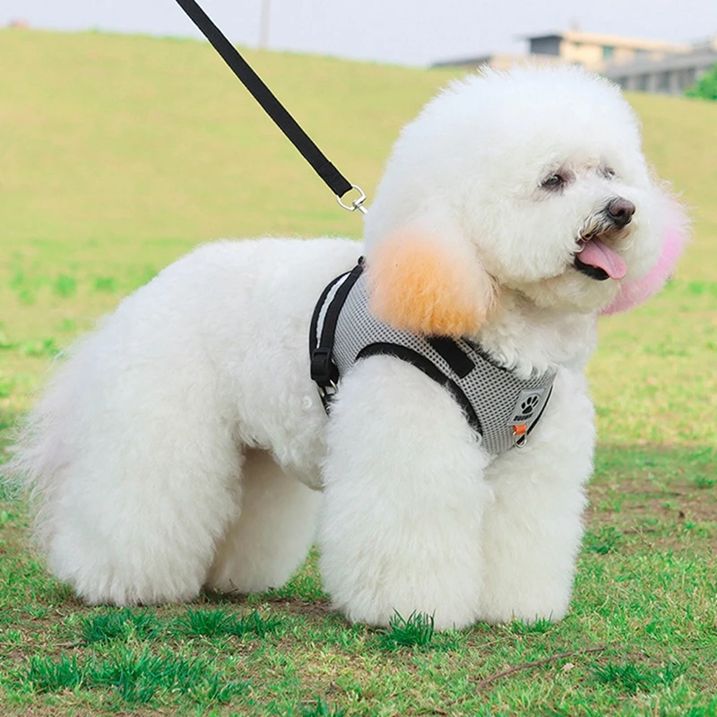 Яркий Светоотражающий Дышащий Жилет Поводок Для Маленьких Собак Французский