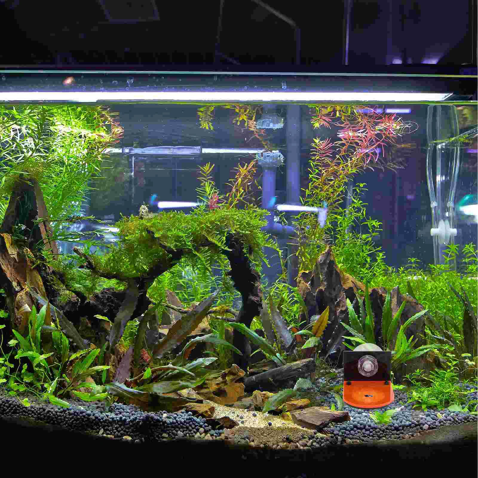 

4 Pcs Fish Bowl Decorations Tank Coral Support Frag Racks Shine Acrylic Decorative Aquarium Accessories