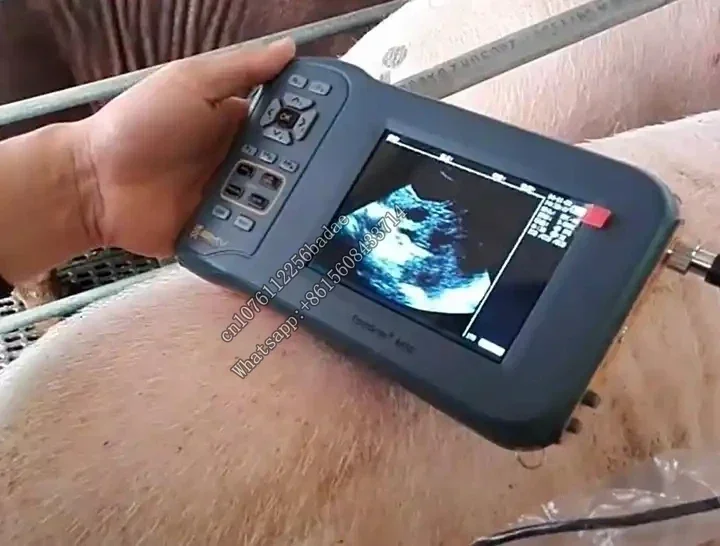 Портативный ультразвуковой сканер Farmscan L60 USG