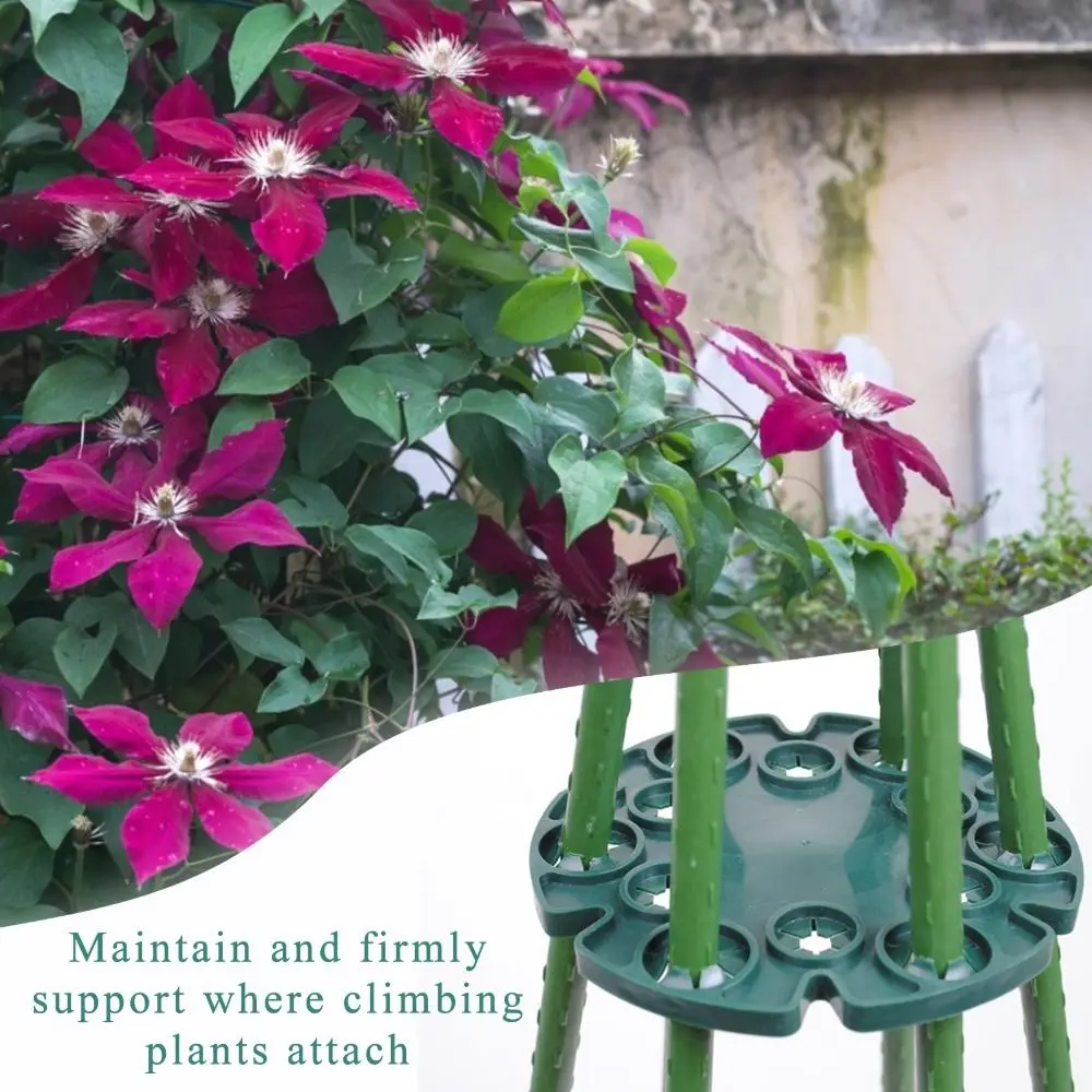 

for Garden Bamboo Protection Landscape Engineering Protection Tray Plant Bracket Plant Climbing Rack Plant Support