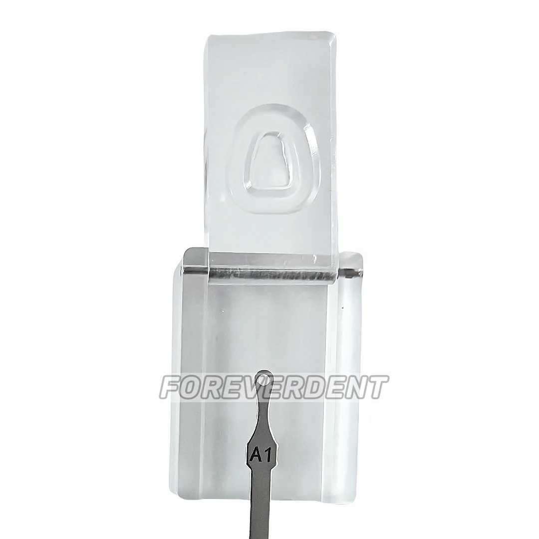 Зубная направляющая для зубов Сделай Сам форма сделай сам на заказ