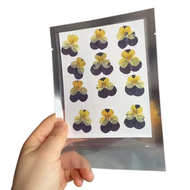 

Прессованные сухие лепестки альта кунуты NYAConfetti