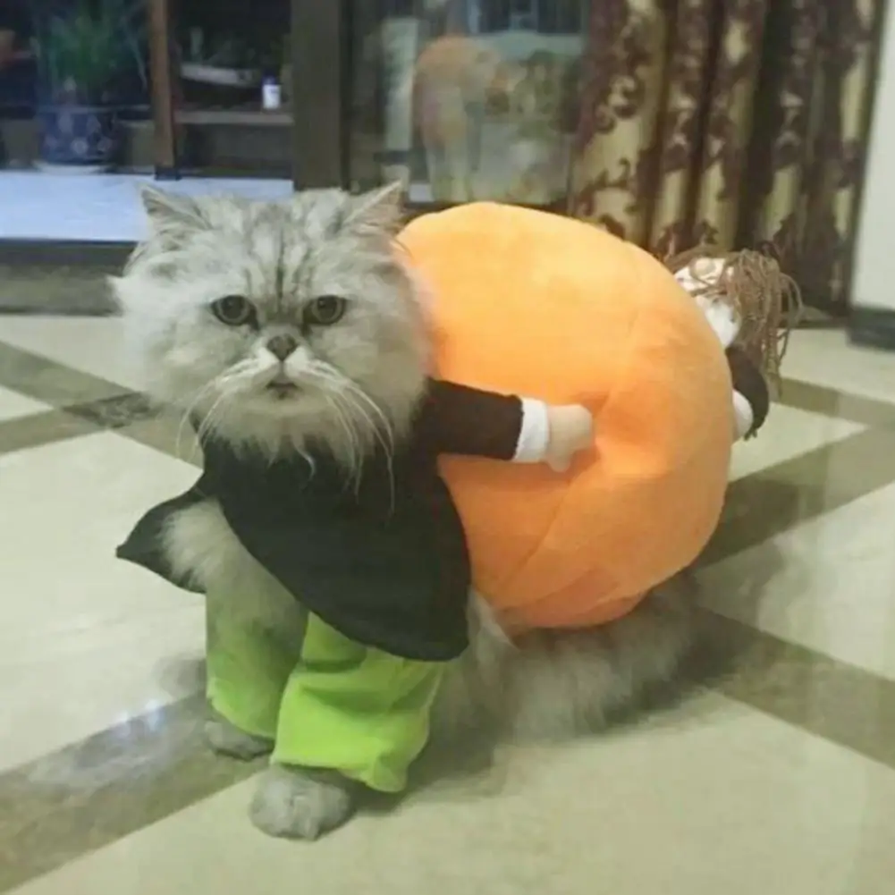 

Pet Outfit Breathable Pet Costume High Elasticity Stylish Funny Halloween Pet Dog Products Costumes for Festival