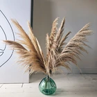 Натуральные настоящие пампасы, трава, сушеные цветы, декор в стиле бохо, искусственные растения, свадебные и рождественские аксессуары для украшения дома
