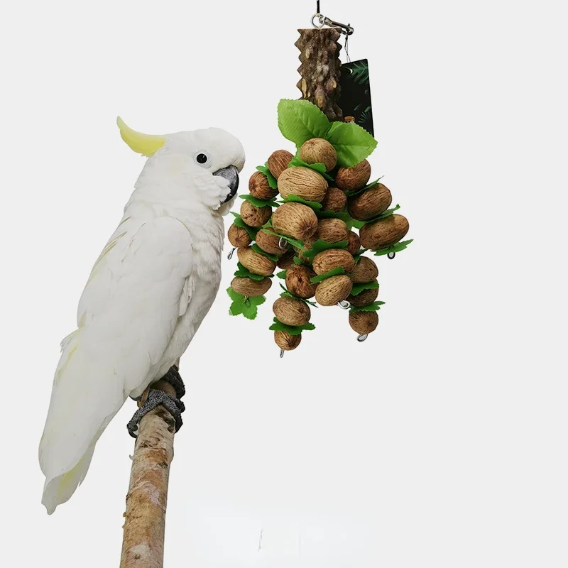 Игрушка для попугаев игрушка большая вечеринки Xuan Feng Parro пион