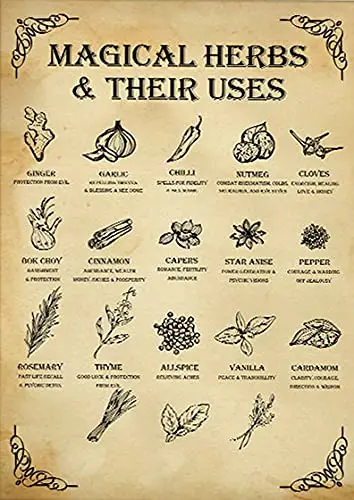 

Eeypy Magical Herbs and Their Uses Witchy Poster Kitchen Witch Wall Art Vintage Kitchen Witchery Witches Magic Knowledge Poster