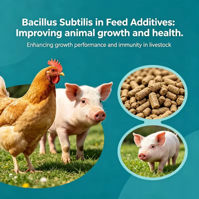 Фото Высокочистый Bacillus Subtilis для роста растений, очистки воды и в качестве органического удобрения для корма скота №3