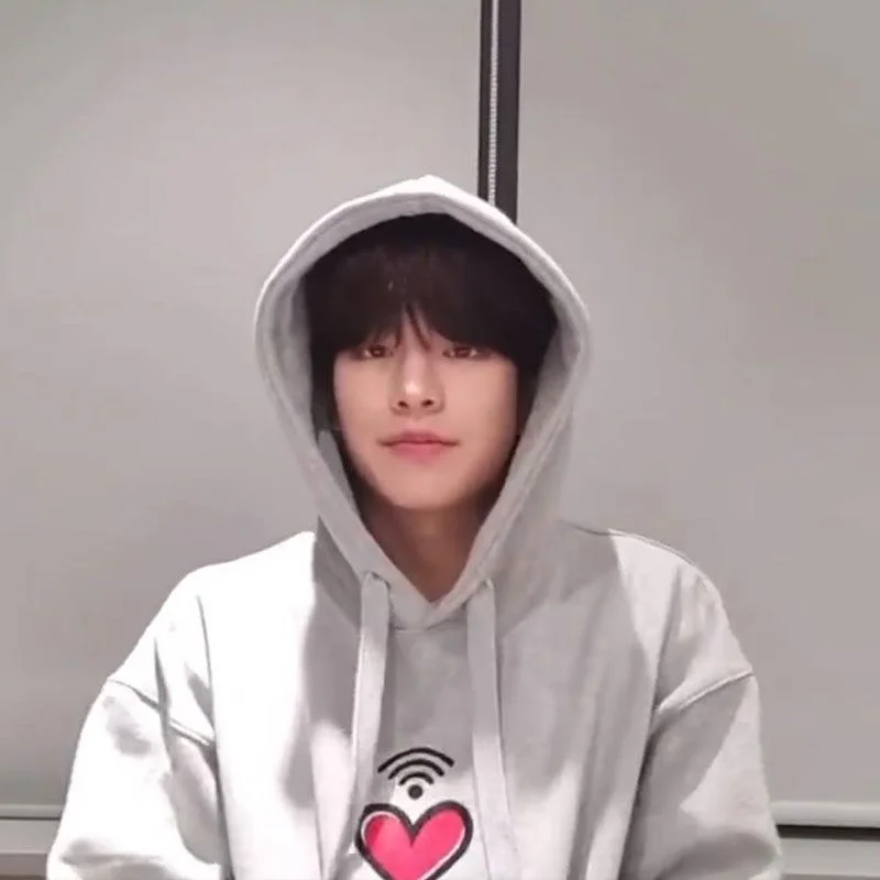 

Stray Kids Hoodies Cotton SKZ Seung-min Chang-bin Same Hoodies Sweatshirts