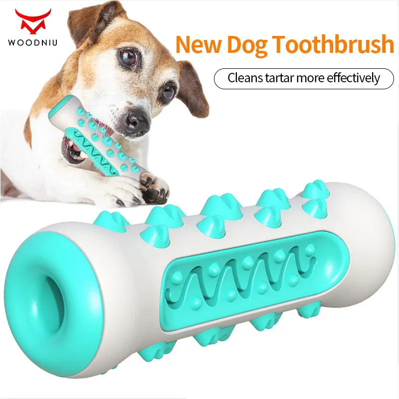 

Nontoxic Bite Resistant Toy Ball for Pet Dogs Puppy Cat Dog Pet Food Treat Feeder Chew Tooth Cleaning Exercise Game IQ Training