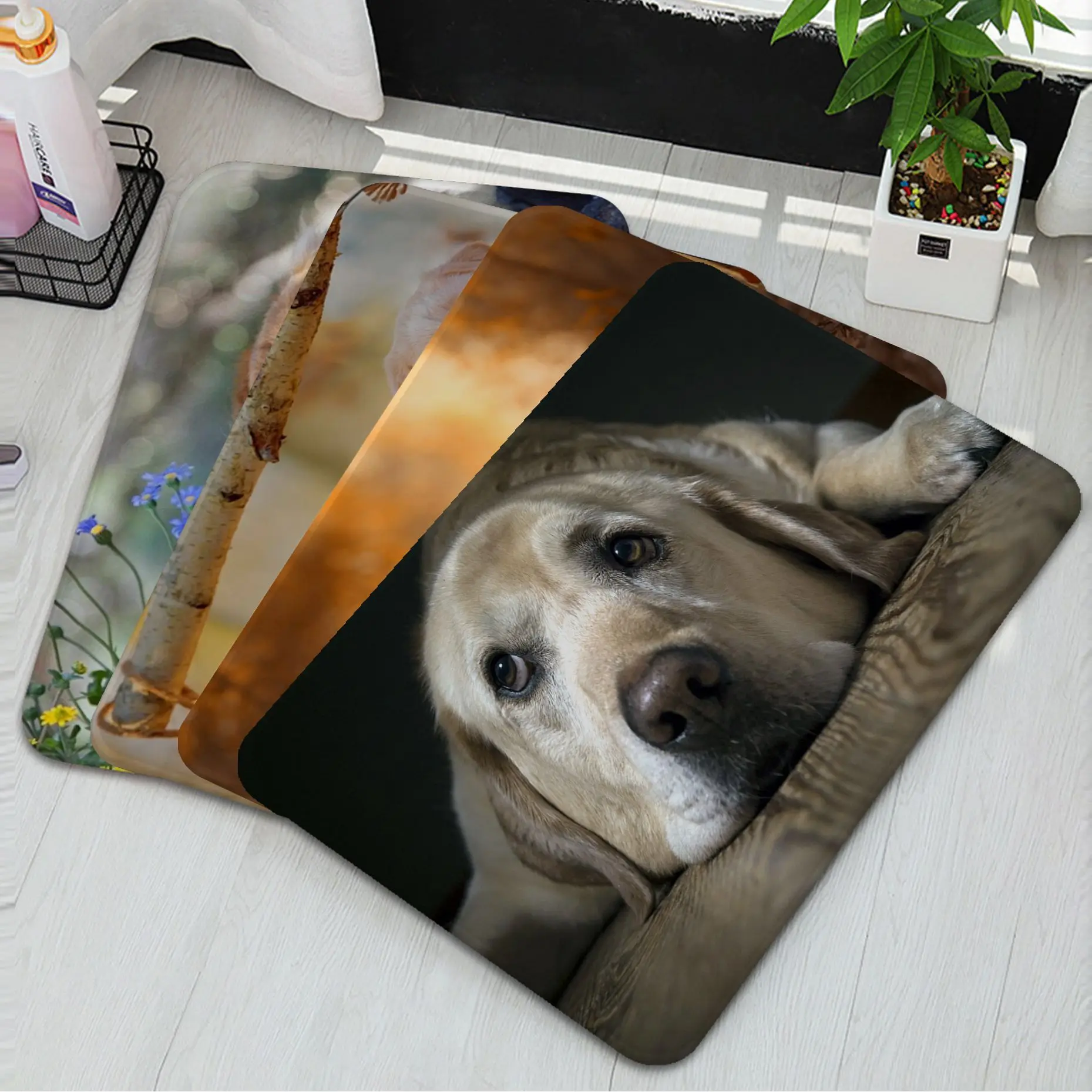 

Cute Labrador Entrance Door Mat Soft Bedroom Floor House Laundry Room Mat Anti-skid Hotel Decor Mat