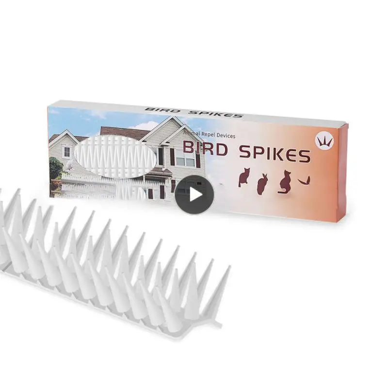 

Threatening Anti-bird Stab Practical Bird Repellent Thorn Anti-theft Protective Plant Anti-bird Sting Pest Control Products