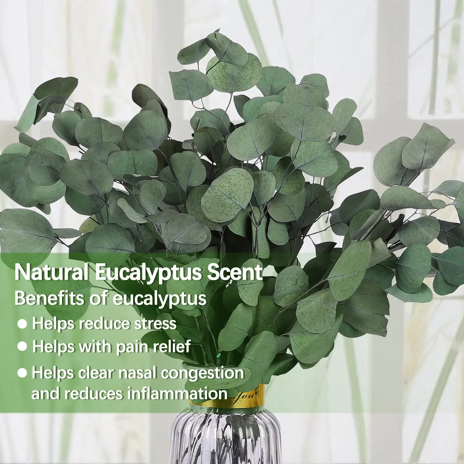 

80g Natural Eucalyptus Apple Leaf Dried Green Plants Flowers for Wedding Party Decoration Home Decor Fragrant Living Room Decor