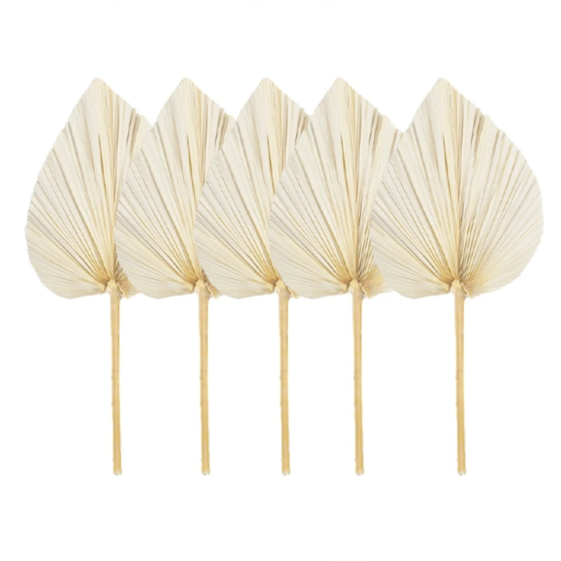 

5PCS Dried Palm Leaves Dried Palm Fans Bohemian Dried Palm Spears Artificial Plants Palm Leaves