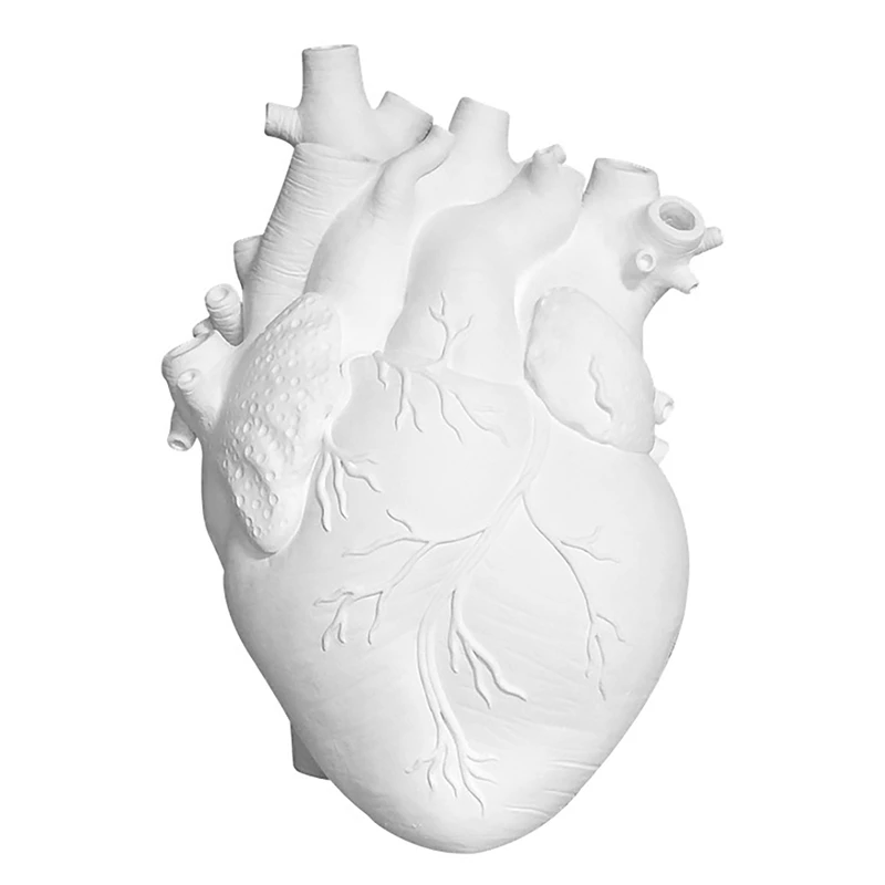 

1Pcs Anatomical Heart Shape Vase Ornaments Sculpture Home Decoration Vases Flower Pot Plant Holder Desktop Ornaments