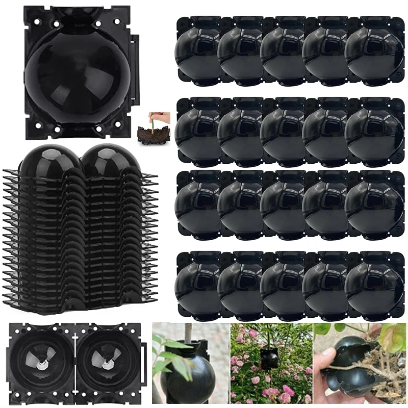 

5PCS Reusable Plant Root Growing Box Cutting Grafting Rooting Ball Garden Rooting Propagation Ball S Breeding Equipment