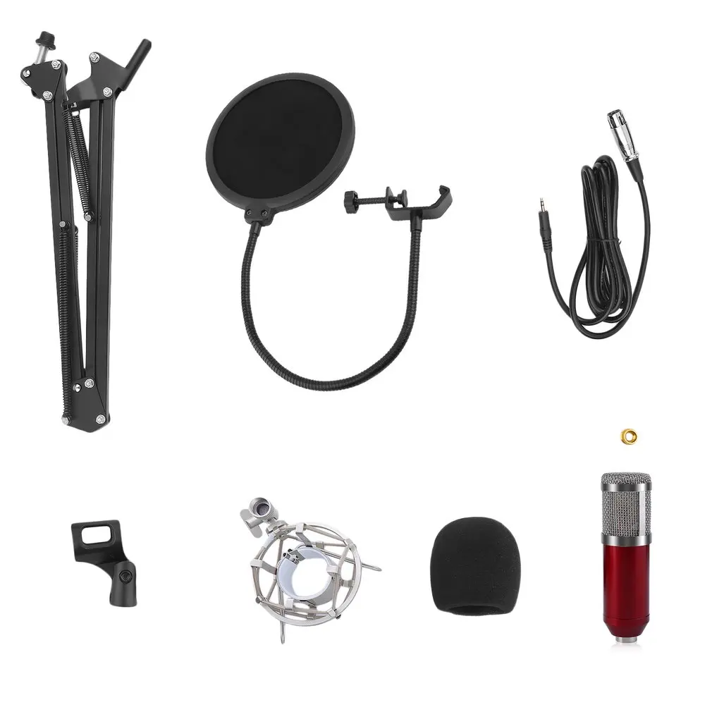 

Professional Condenser Sound Recording Microphone With Mount Holder For Karaoke Radio Braodcasting Singing