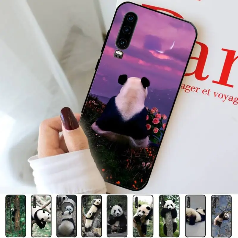 

Cute Animal Panda Phone Case for Huawei P30 40 20 10 8 9 lite pro plus Psmart2019