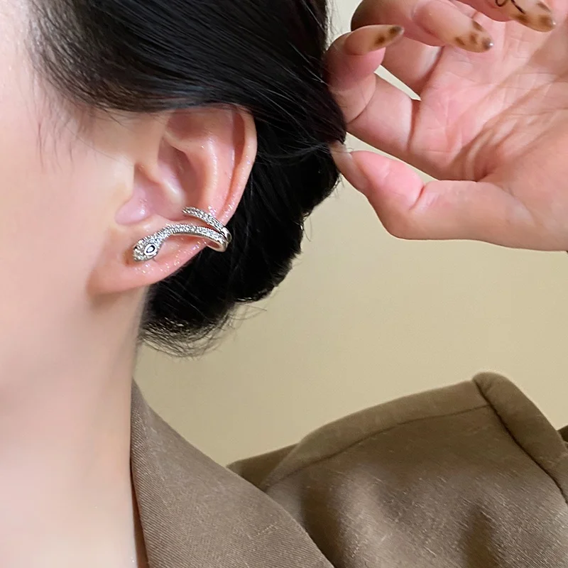 Golden Snake Zircon Stud Earrings Women Autumn and Winter Design High-End 2024 New Personali All-matching Ea...