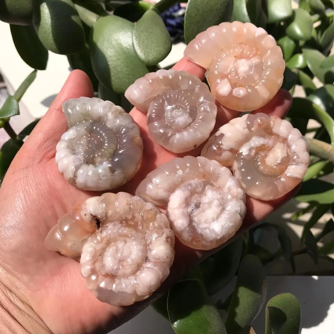 

1 Pc Natural Stone Cherry Blossom Flower Agate Conch Sea Snail Crystal Carved Figurine Home Decoration Fashion Jewelry Gift