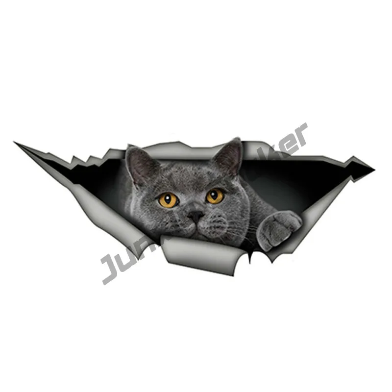 

Funny Car Stickers DecalsBritish Shorthair Cover Scratches Cartoon Accessories for Rear Windshield Window Trunk Bumper KK15*6cm