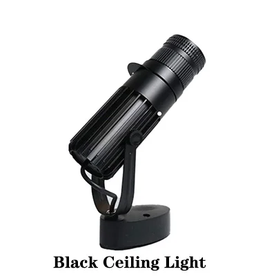 

IWP Потолочный спот с регулируемым фокусом