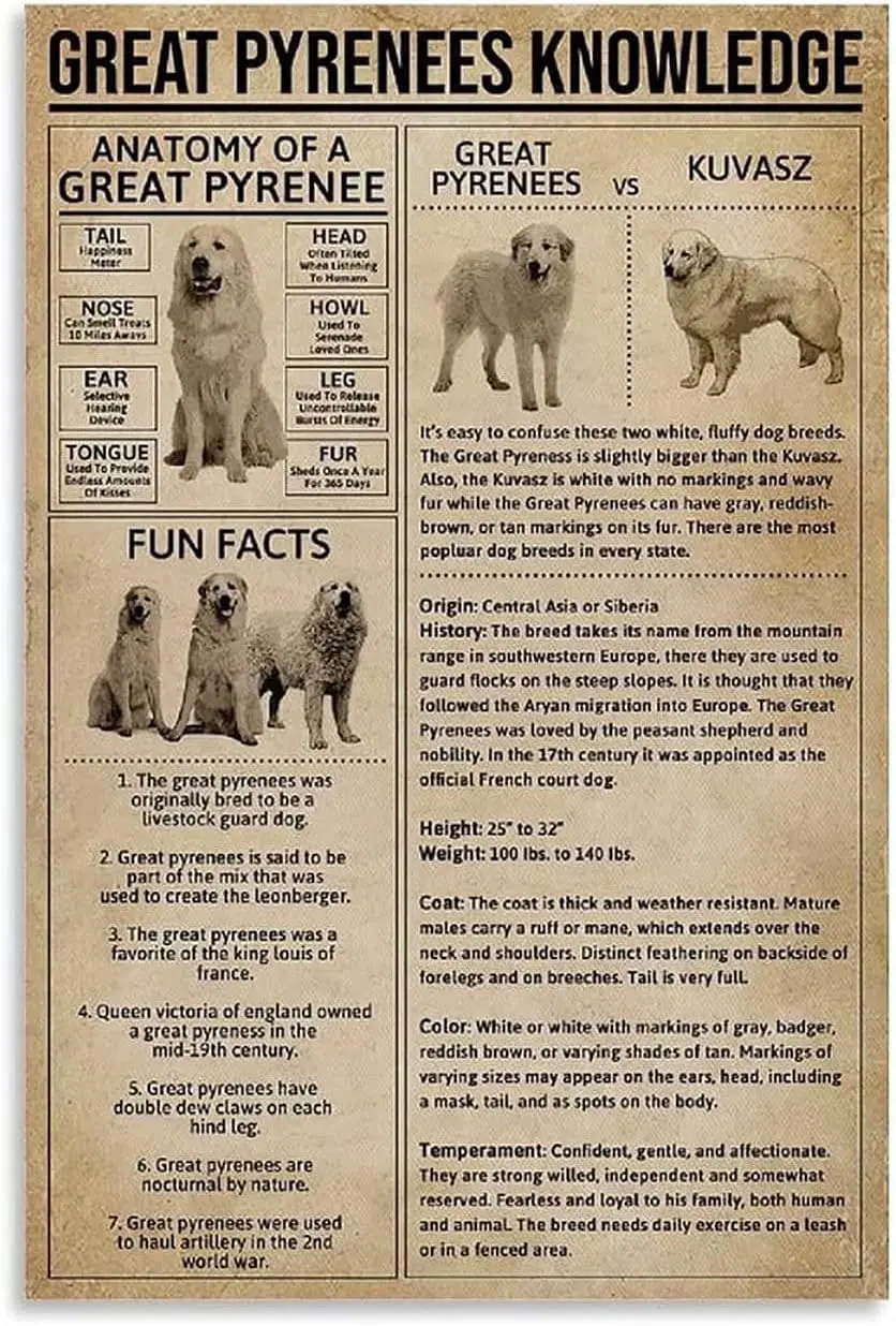 Железная знания пиренейцев металлический жестяной знак анатомия большого