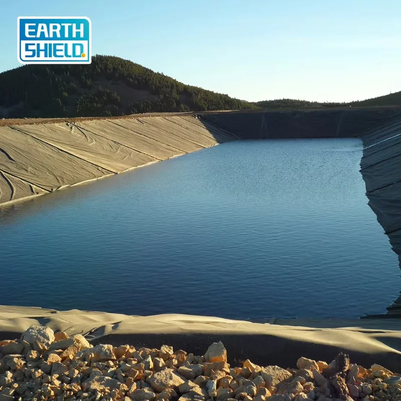 Фото 【2026】Геомембрана из HDPE шириной 6м и 8м для прудов и водоемов, современная, экологически чистая, для рыбоводства, аквакультуры и водоудержания №2