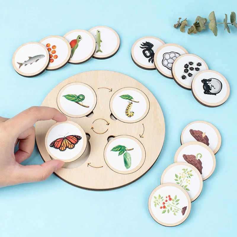 

Animal Life Cycle Board Children Toy Montessori Teaching Aids Plant Animal Insect Growth Cycle Model Set Preschool Cognitive Toy