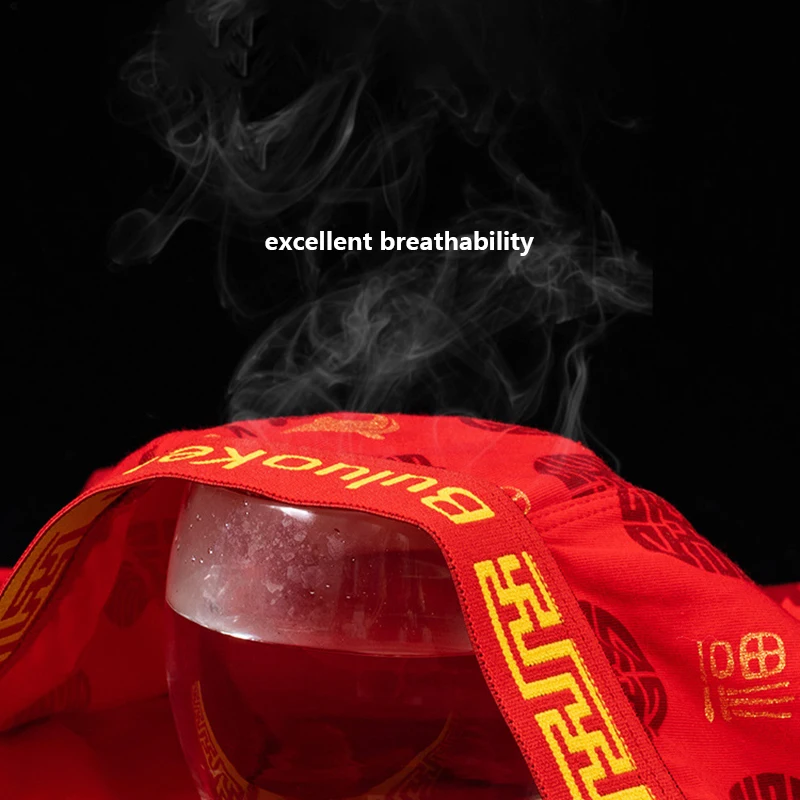 Men Underwear Boxer Breathable Youngster Undies Soft Cotton Knickers Homme Underpant Adolescent Red Panties New Year Gift 4Pcs