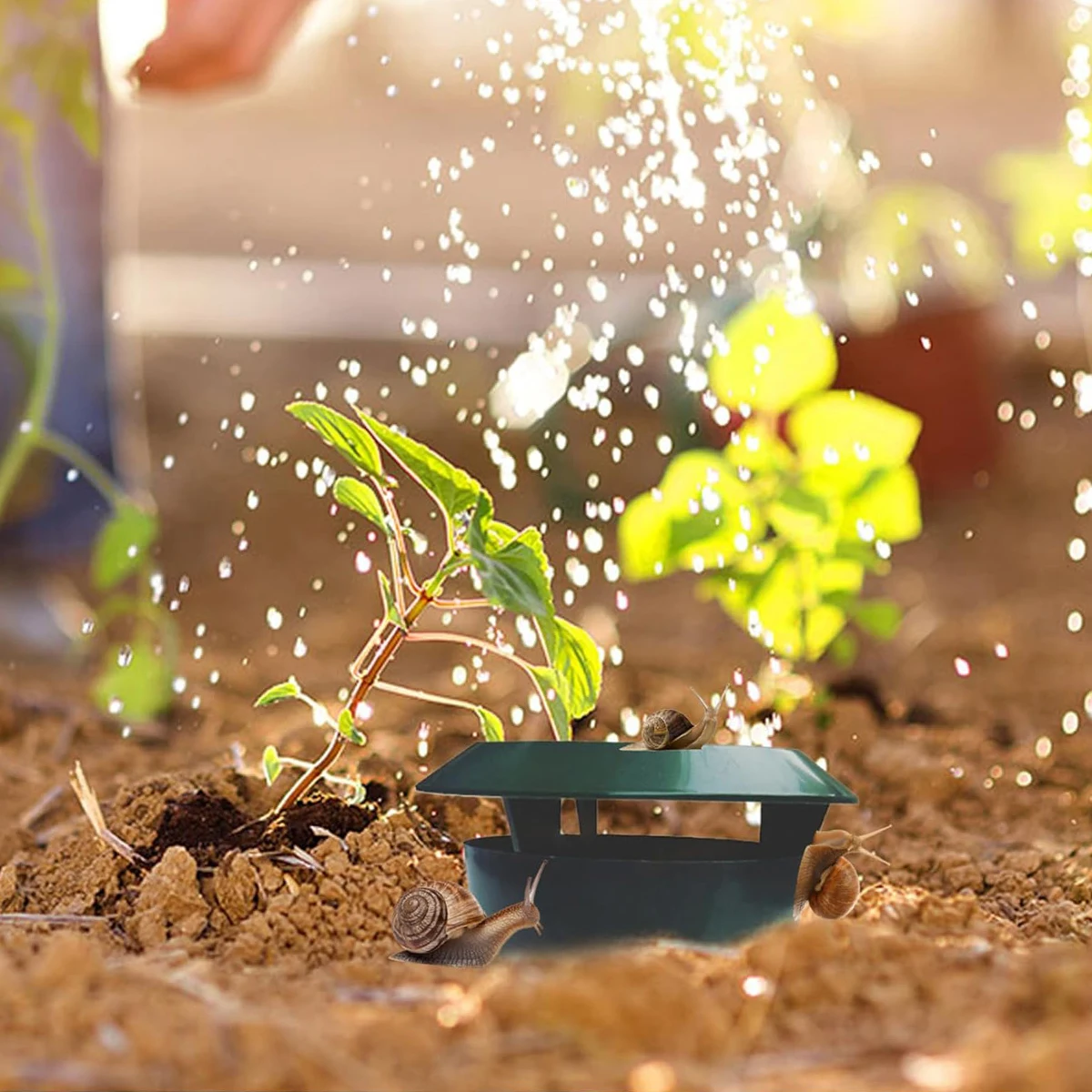 Пластиковые улитки-ловушки для сада