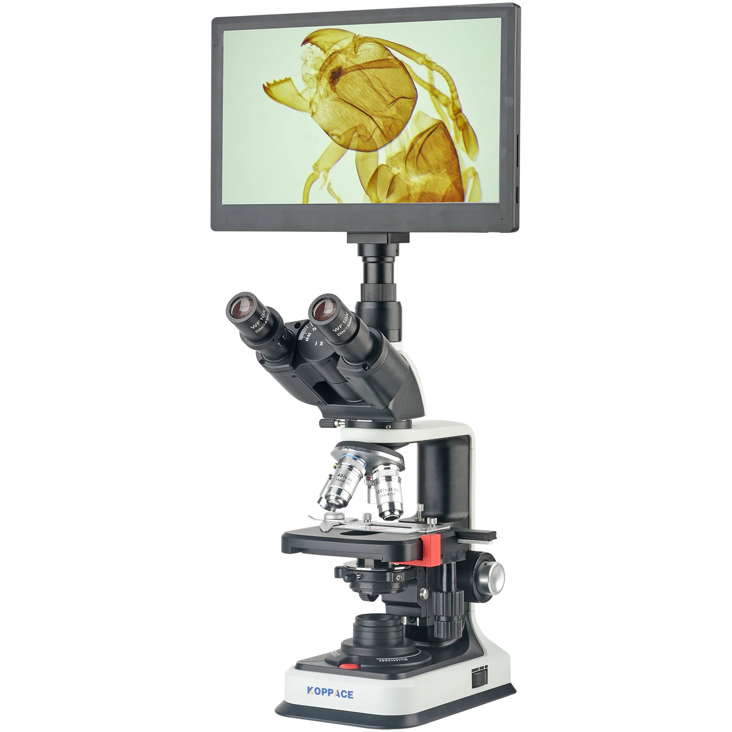 

KOPPACE 40X-2500X Electron Compound Lab Microscope 2 Million Pixels 11.6" HD Display