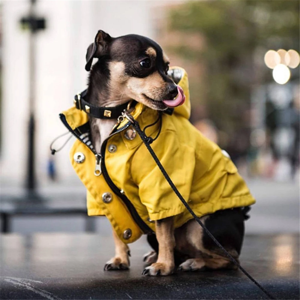 

Pet Dog Clothes for Small Medium Dogs Waterproof Puppy Raincoat Fashion Cool Dog Jacket Coat Windproof Dogs Outfit Pet Supplie