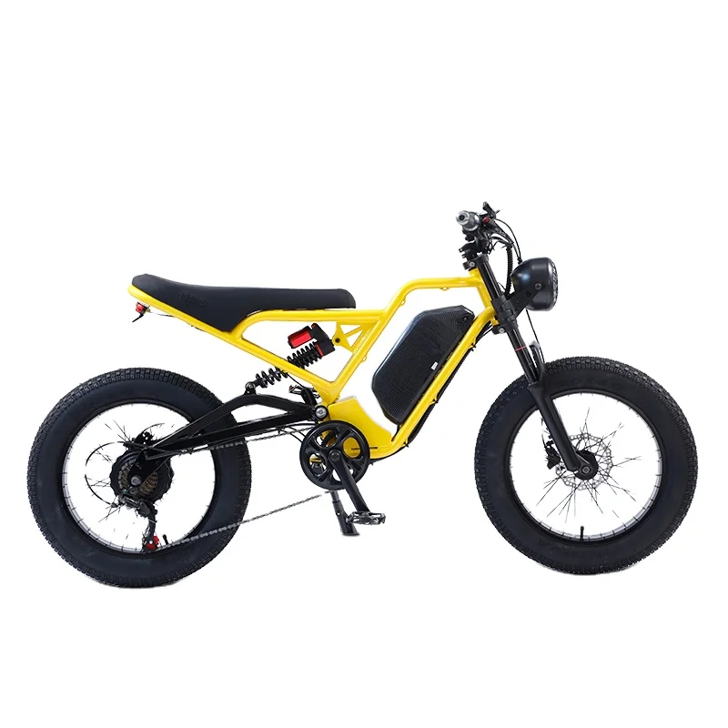 

1500W Motor 48V Fat snow Tire 20*4 E Bikes Electric Bikes for Adults
