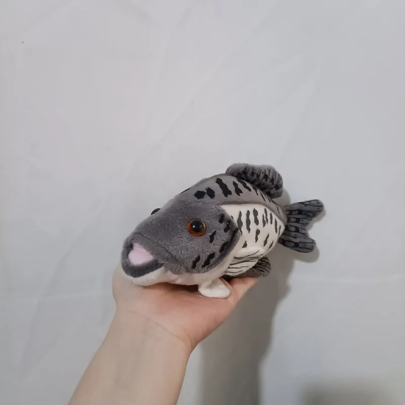 Реалистичная рыба морской окунь Lateolabrax japonicus Имитация океана искусственная кукла