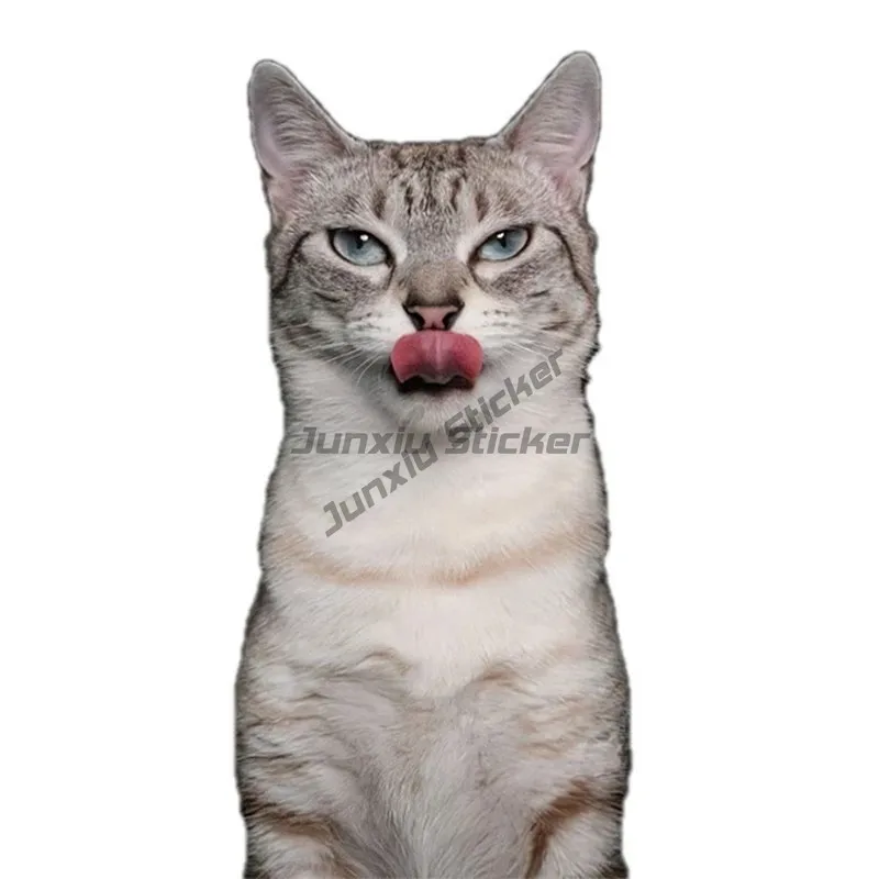 Автомобильная наклейка с милым котом персидским Birman Bombay британская