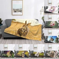 rabbit multifunctional warm flannel cute blanket bed sofa personalized super soft warm bed cover